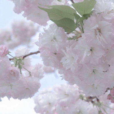 兽设配色实用搭配指南Furry群